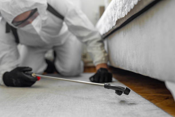 Professional Bed Bug Control technician working in Lucasville, OH