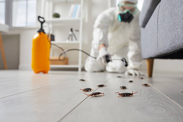 Trusted Termite Control service in Lucasville, OH - Nex Pest Control