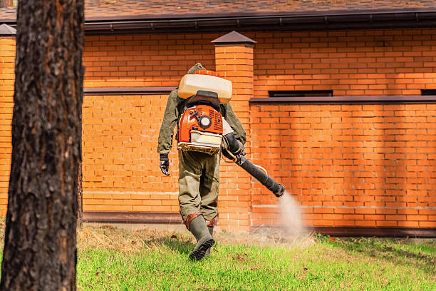Trusted Fumigation Services service in Lucasville, OH - Nex Pest Control